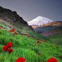 Profile picture of ‌اَفشین‌