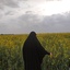 Profile picture of ‌ف احمدپور‌
