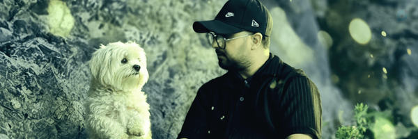 ‌Meshkan Meshkat‌'s header picture