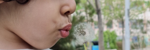 ‌سیاوش‌'s header picture