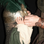 Profile picture of ‌محی ؛‌