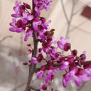 Profile picture of ‌فاطیما ایرانی‌