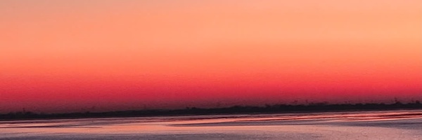 ‌Milia Hamm‌'s header picture