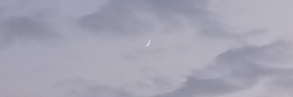 ‌"فاطیمـا"‌'s header picture