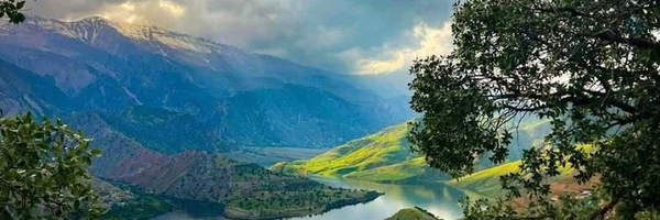 ‌M.r rahbar‌'s header picture