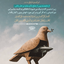 Profile picture of ‌تائب‌
