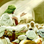 Profile picture of ‌قال الصادق(ع):...‌