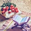 Profile picture of ‌سعید‌