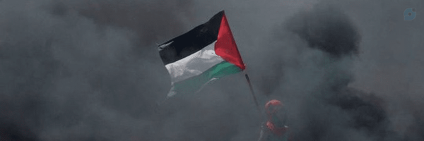 ‌سارا فکوری‌'s header picture