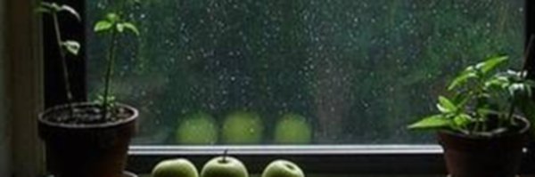 ‌سید حسین طباطبایی‌'s header picture