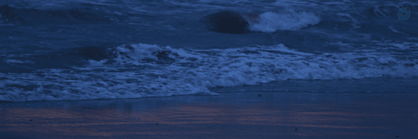 ‌Hadis‌'s header picture