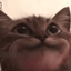 Profile picture of ‌دلقک نامحترمه‌