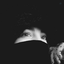 Profile picture of ‌سین‌