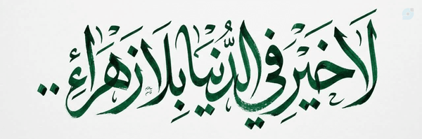 ‌محمدامین سالاری 🖤🏴‌'s header picture