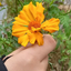 Profile picture of ‌Tamana‌