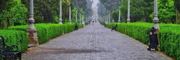 ‌سید سعید طباطبایی‌'s header picture