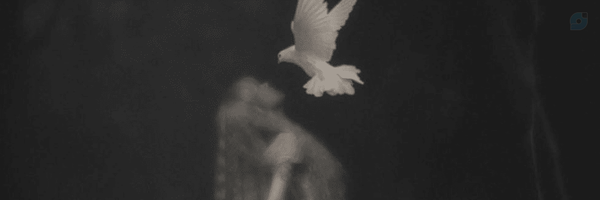 ‌(گم نام)‌'s header picture