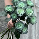 Profile picture of ‌زهرا‌