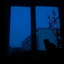 Profile picture of ‌𝓜𝓪𝓱𝓸𝓸𝓻:>‌