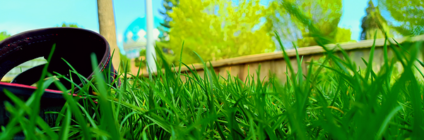 ‌سید علی‌'s header picture