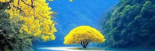 ‌بهزاد شهبازی‌'s header picture