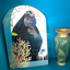 Profile picture of ‌فاطمه بهرامی پور‌
