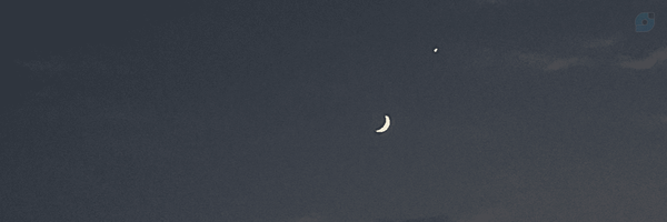 ‌فــافــا‌'s header picture