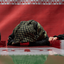 Profile picture of ‌عسل‌