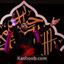 نماهنگ حیدر کرار