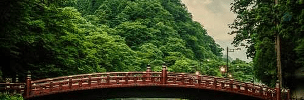 ‌سیده حسینی‌'s header picture