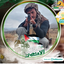 Profile picture of ‌الشاعر متاش‌