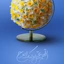 Profile picture of ‌حمید رضا رمضانی‌