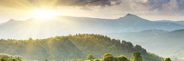 ‌فصیحی‌'s header picture