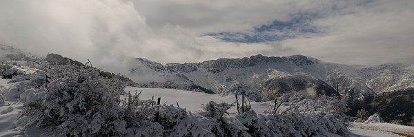 ‌علی‌'s header picture