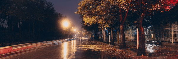 ‌mamad amin‌'s header picture