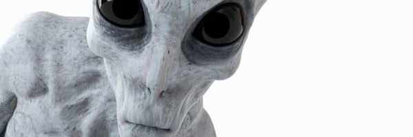 ‌A traveler‌'s header picture