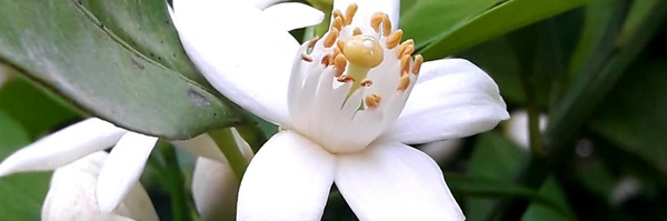‌محمد تیشه‌ کار‌'s header picture