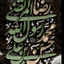 Profile picture of ‌🇮🇷امین اله شاکر‌