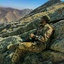 Profile picture of ‌هادی محمدی‌
