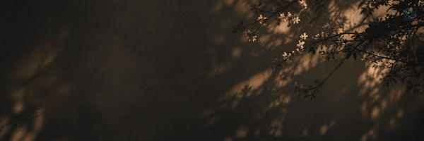 ‌بَهـاري‌'s header picture