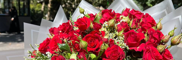 ‌مینو‌'s header picture