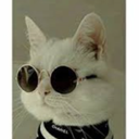 Profile picture of ‌𝚟𝚊𝚑𝚒𝚍‌