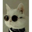 Profile picture of ‌𝚟𝚊𝚑𝚒𝚍‌
