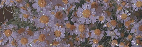 ‌دختر تُرک✨🇮🇷 .‌'s header picture