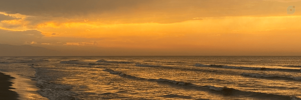 ‌دختر پاییز‌'s header picture