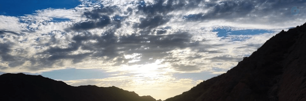‌شقایق محمدی‌'s header picture