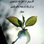 Profile picture of ‌مهدی میری‌