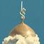 Profile picture of ‌ریحان سادات‌