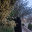 Profile picture of ‌خانم امانتی‌