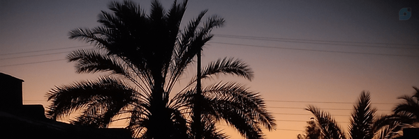 ‌یاشار حسینی‌'s header picture